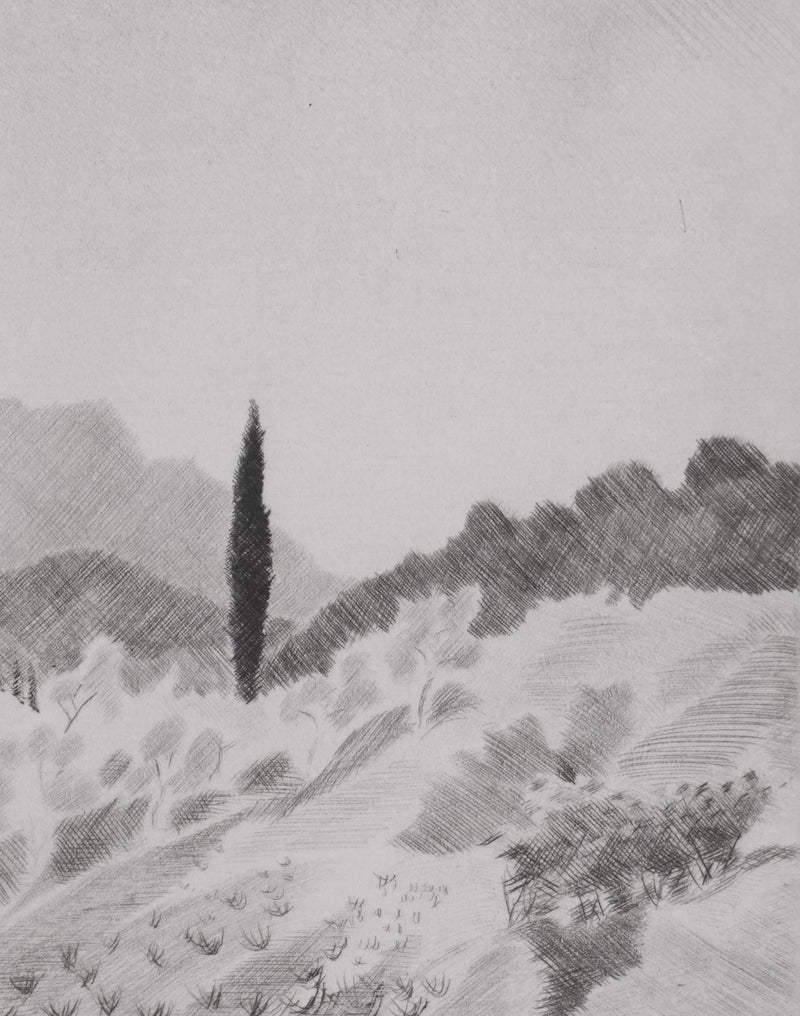 Camille COMBE : Provence, Gravure originale signée