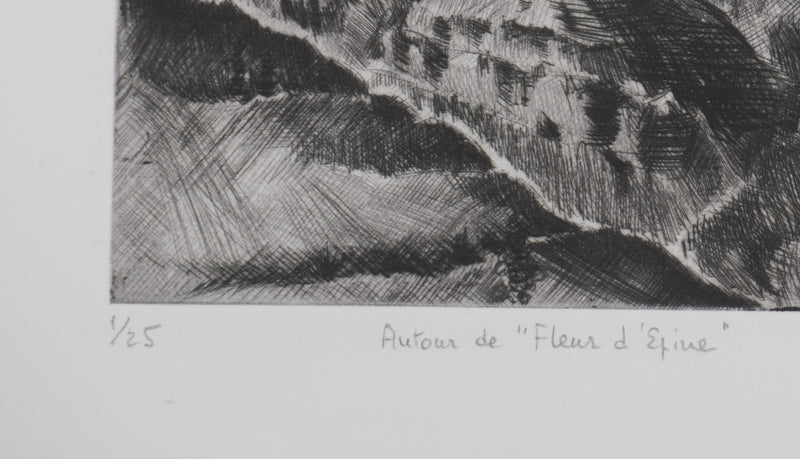 Camille COMBE : Autour de Fleur d&