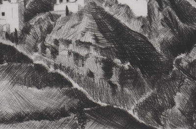 Camille COMBE : Autour de Fleur d'Epine, Gravure originale signée