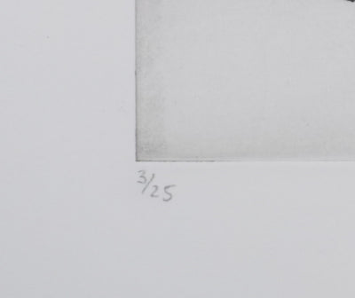 Camille COMBE : Les fleurs de glace du torrent, Gravure originale signée
