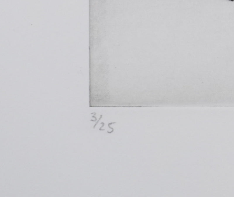 Camille COMBE : Les fleurs de glace du torrent, Gravure originale signée
