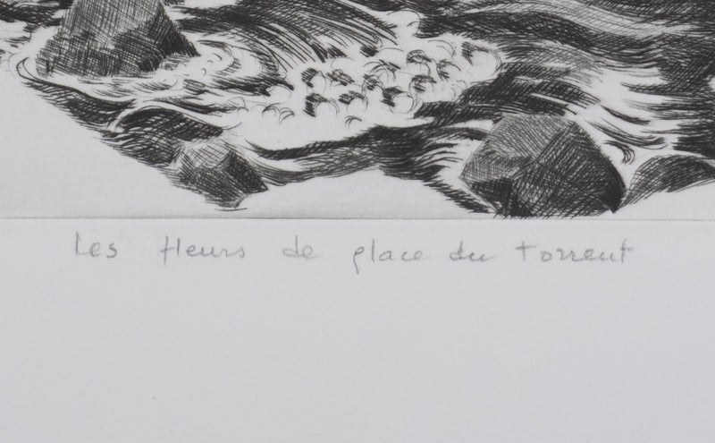 Camille COMBE : Les fleurs de glace du torrent, Gravure originale signée