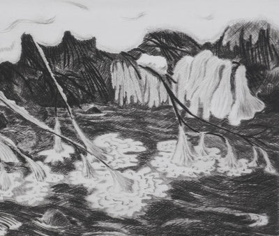Camille COMBE : Les fleurs de glace du torrent, Gravure originale signée