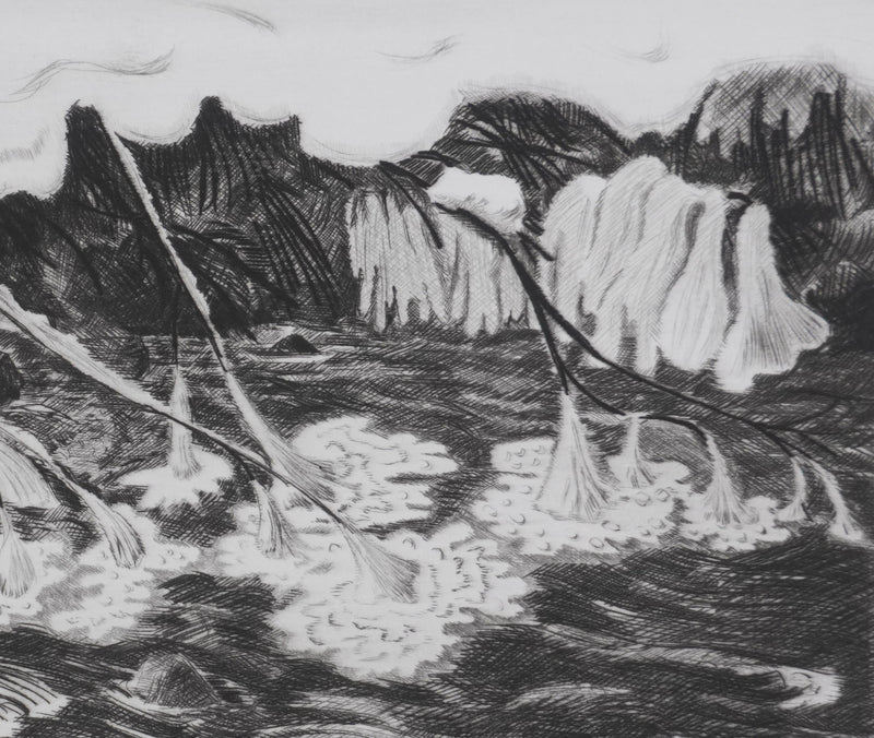 Camille COMBE : Les fleurs de glace du torrent, Gravure originale signée
