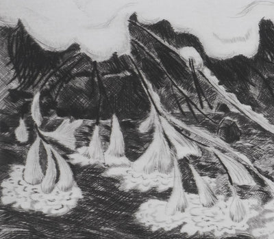 Camille COMBE : Les fleurs de glace du torrent, Gravure originale signée