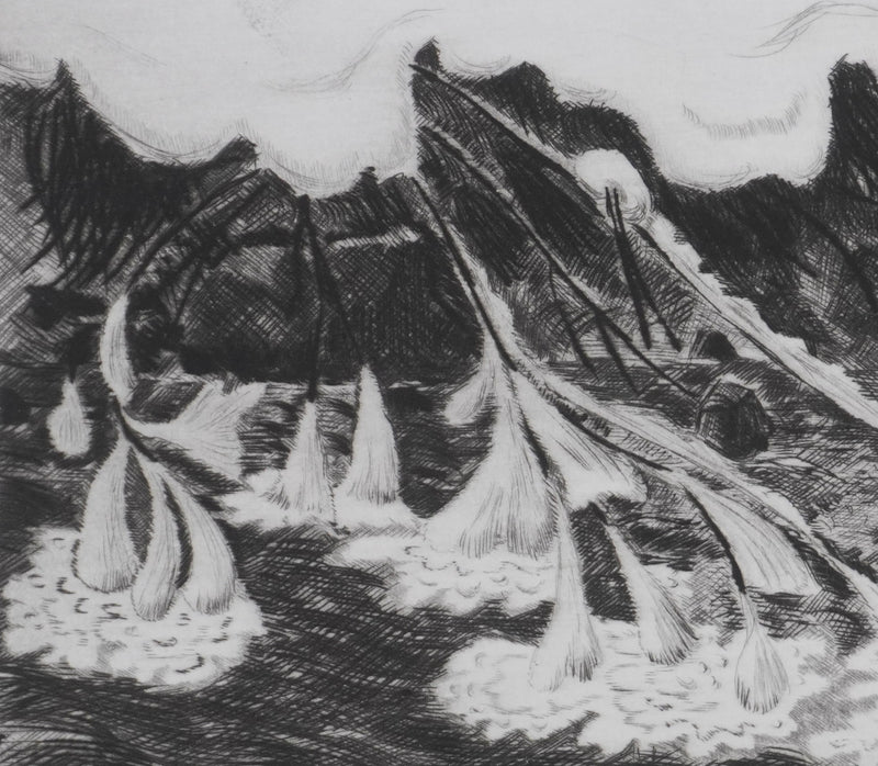 Camille COMBE : Les fleurs de glace du torrent, Gravure originale signée
