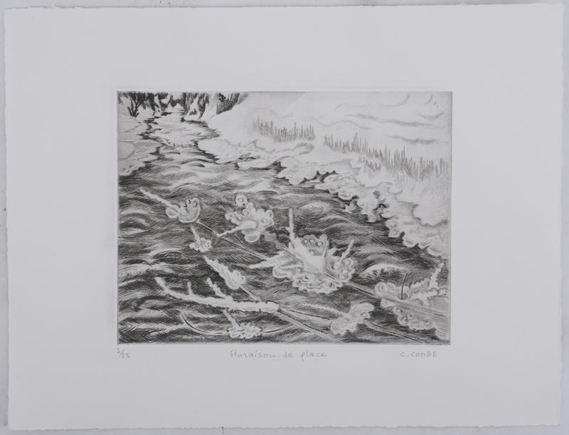 Camille COMBE : Floraison de glace, Gravure originale signée