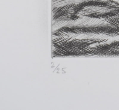 Camille COMBE : Floraison de glace, Gravure originale signée