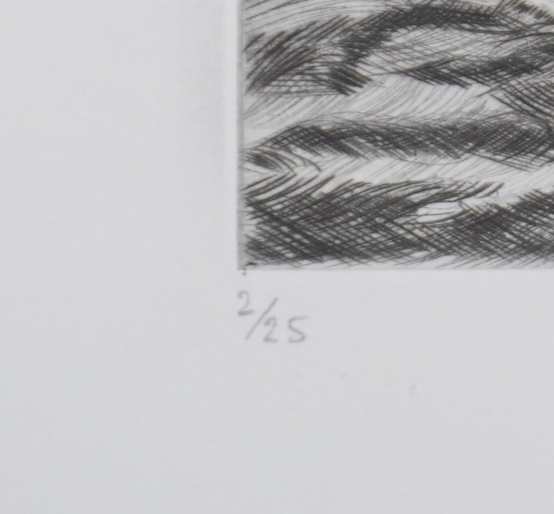 Camille COMBE : Floraison de glace, Gravure originale signée