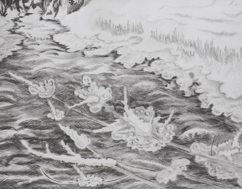 Camille COMBE : Floraison de glace, Gravure originale signée