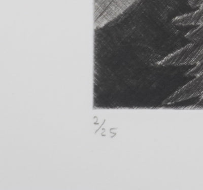 Camille COMBE : Le monde de la nuit, Gravure originale signée