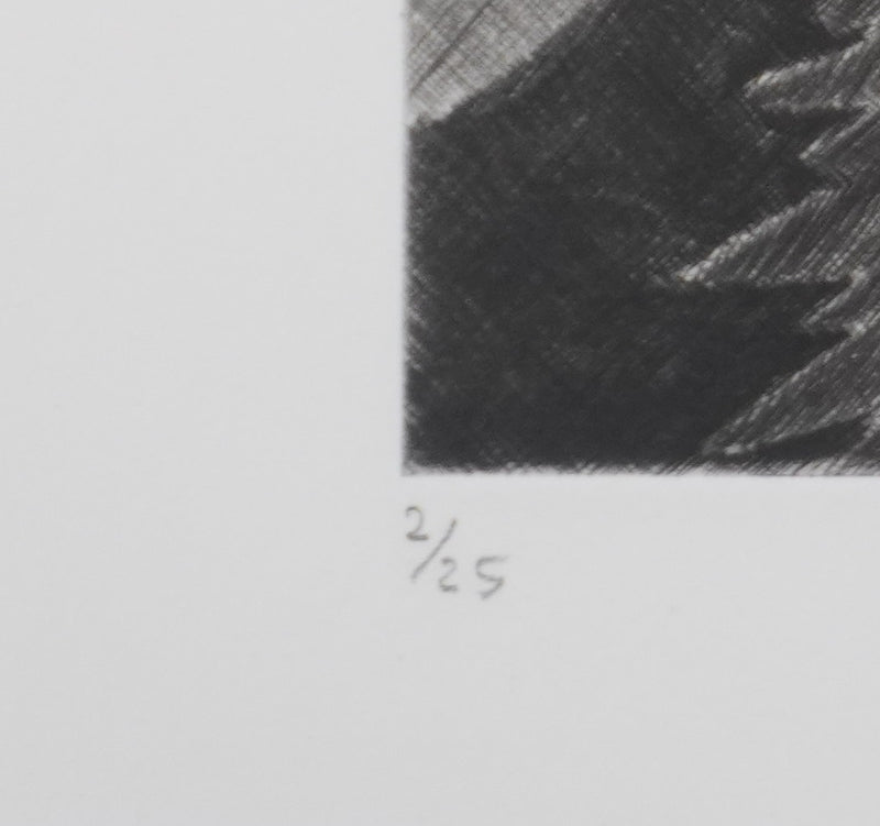 Camille COMBE : Le monde de la nuit, Gravure originale signée