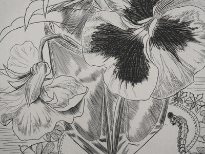 Suzanne von HOTTIER-VAHL : Le bouquet à la chenille, Gravure originale signée