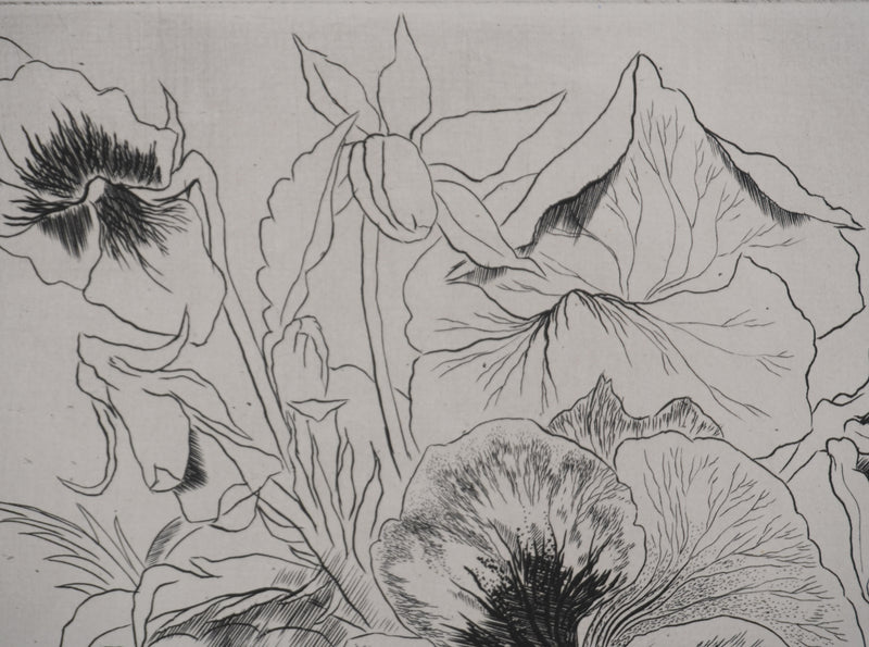 Suzanne von HOTTIER-VAHL : Le bouquet à la chenille, Gravure originale signée