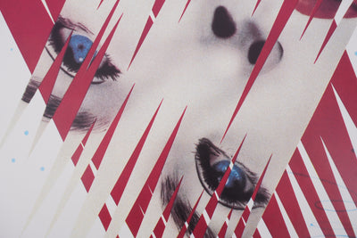 James ROSENQUIST : Ice Point, Affiche originale d'époque