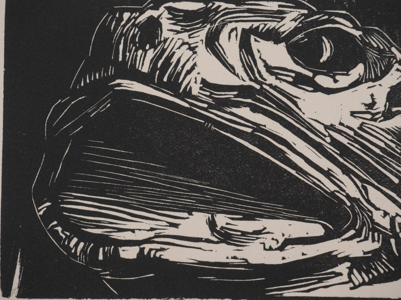 Suzanne von HOTTIER-VAHL : La grenouille, Gravure originale signée