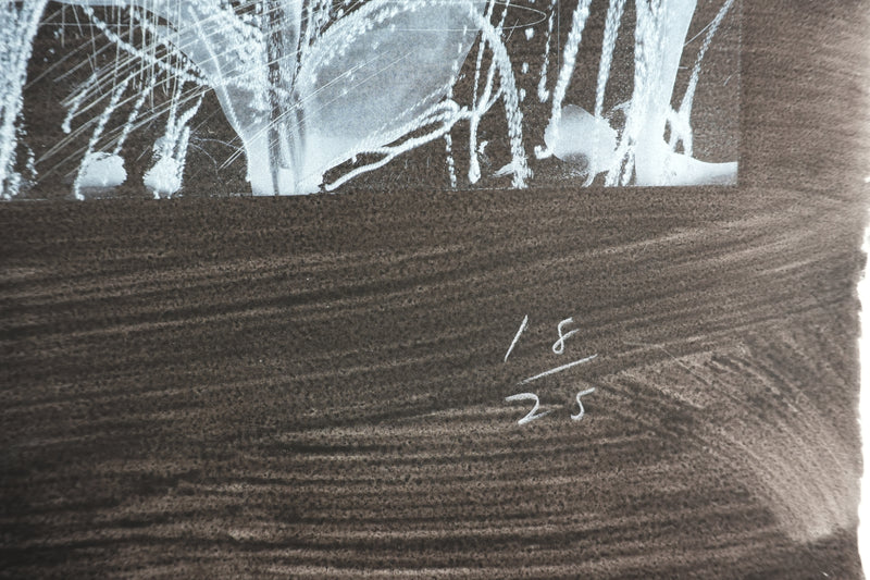 Jim DINE : Nancy Outside in July XIX, Gravure originale signée