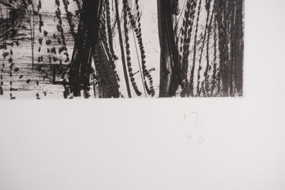 Jim DINE : Nancy Outside in July XX, Gravure originale signée
