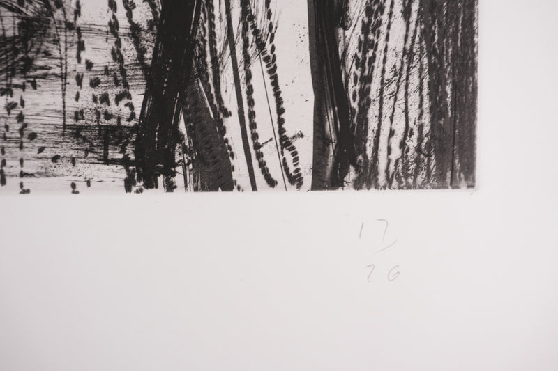 Jim DINE : Nancy Outside in July XX, Gravure originale signée
