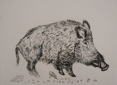 Jacques BIRR : Le sanglier, Gravure originale signée