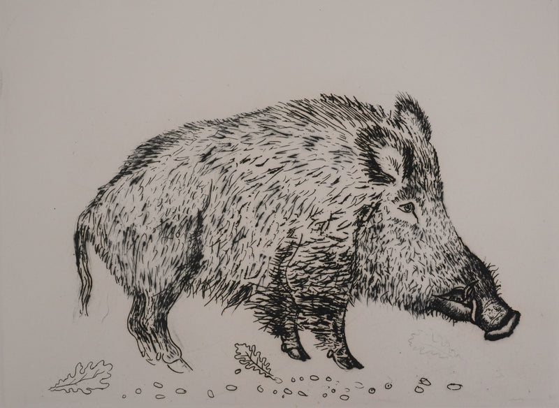 Jacques BIRR : Le sanglier, Gravure originale signée