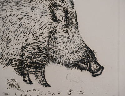 Jacques BIRR : Le sanglier, Gravure originale signée