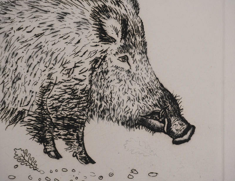 Jacques BIRR : Le sanglier, Gravure originale signée