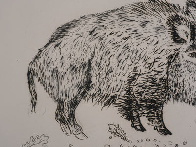 Jacques BIRR : Le sanglier, Gravure originale signée