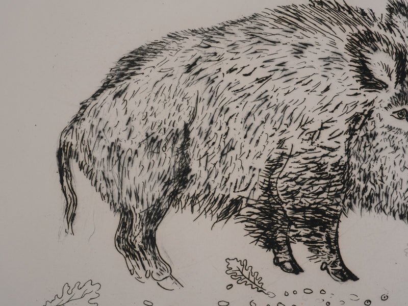 Jacques BIRR : Le sanglier, Gravure originale signée