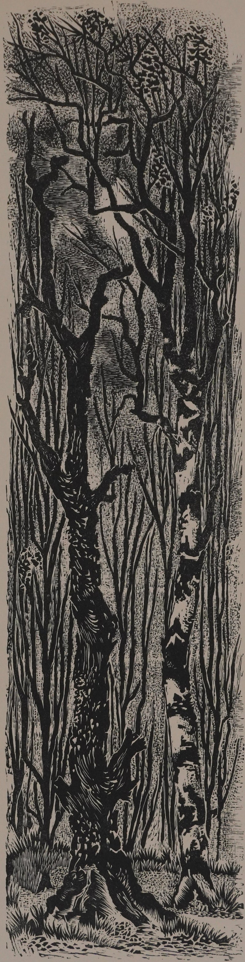 Robert TRAUT : La forêt, Gravure originale signée
