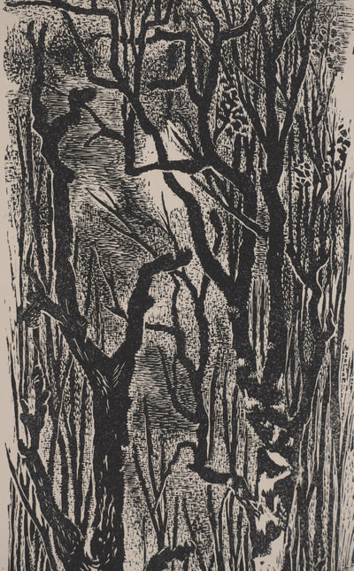 Robert TRAUT : La forêt, Gravure originale signée