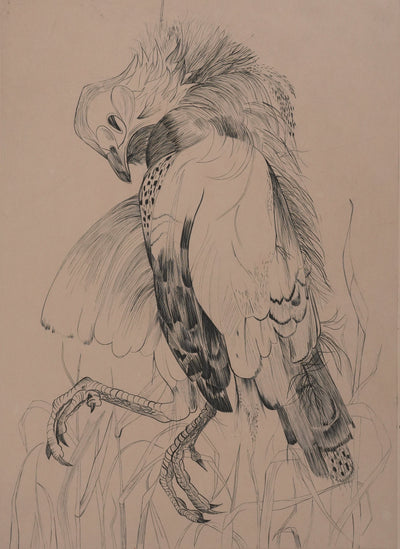 Yvette MELLIER : La perdrix, Gravure originale signée