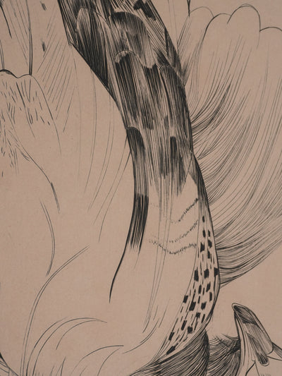 Yvette MELLIER : La perdrix, Gravure originale signée