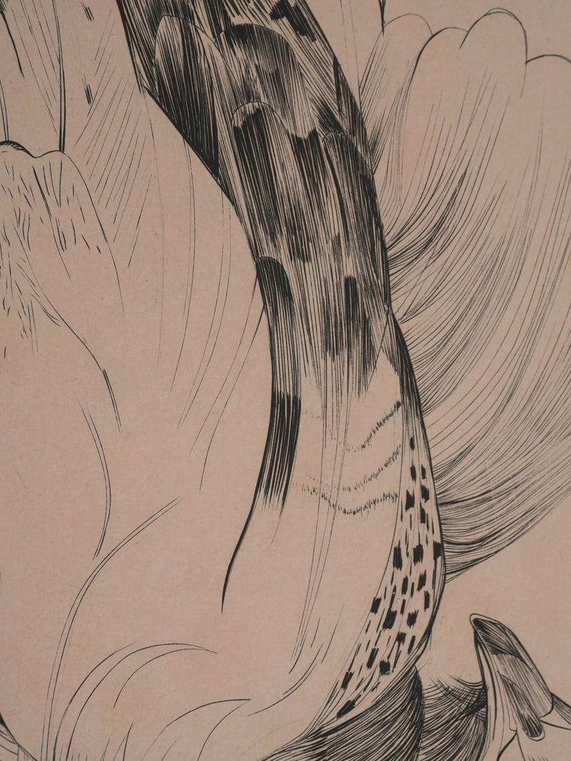 Yvette MELLIER : La perdrix, Gravure originale signée