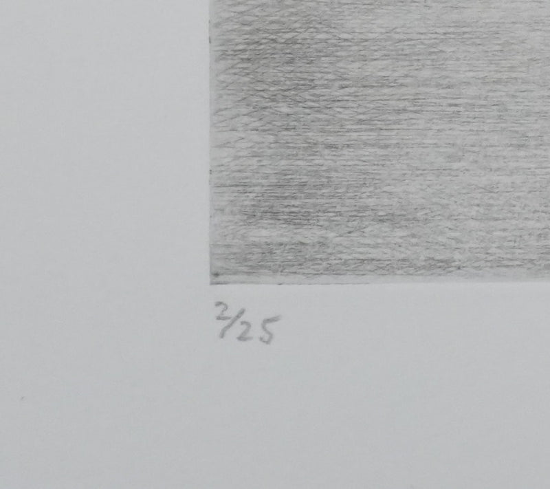 Camille COMBE : Le soleil étoile la mer, Gravure originale signée