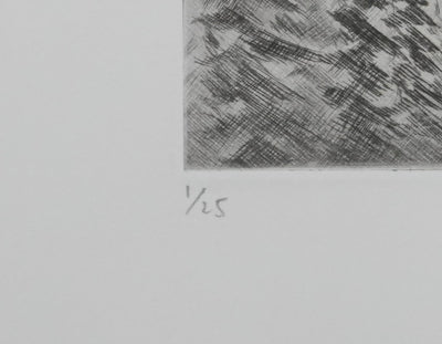 Camille COMBE : Effet de soleil, Gravure originale signée