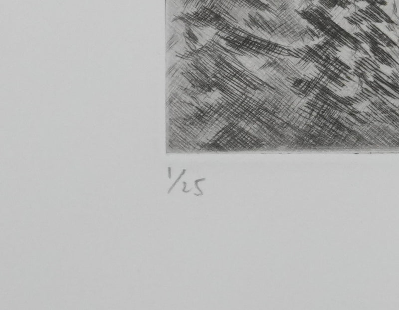 Camille COMBE : Effet de soleil, Gravure originale signée