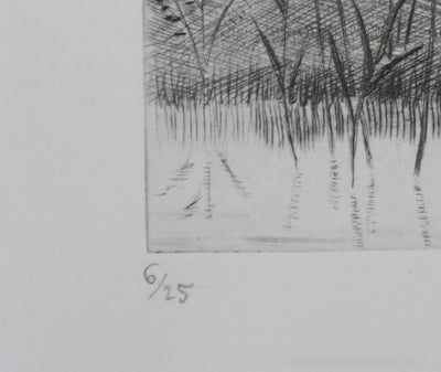 Camille COMBE : Au rythme du vent, Gravure originale signée