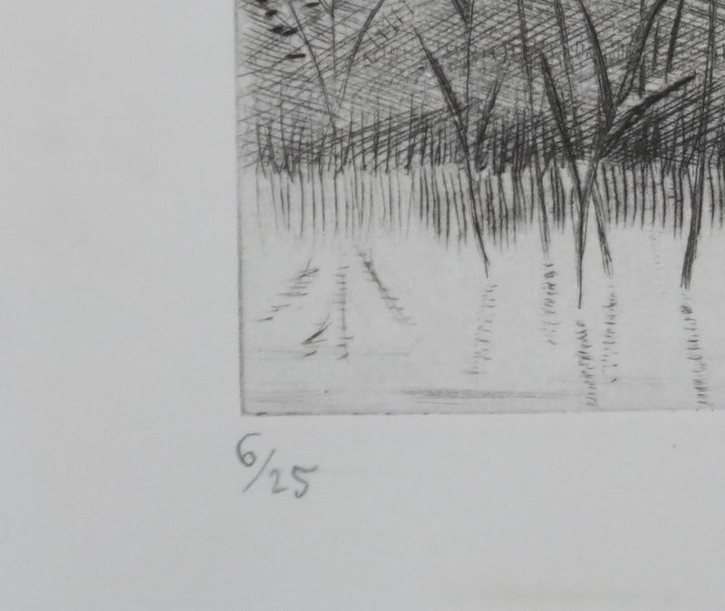 Camille COMBE : Au rythme du vent, Gravure originale signée