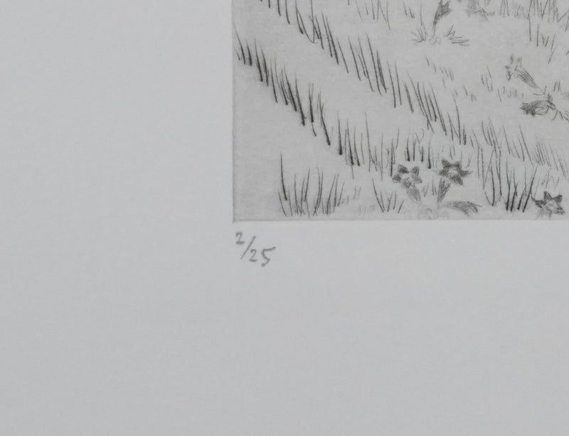 Camille COMBE : Le sentier des gentianes, Gravure originale signée