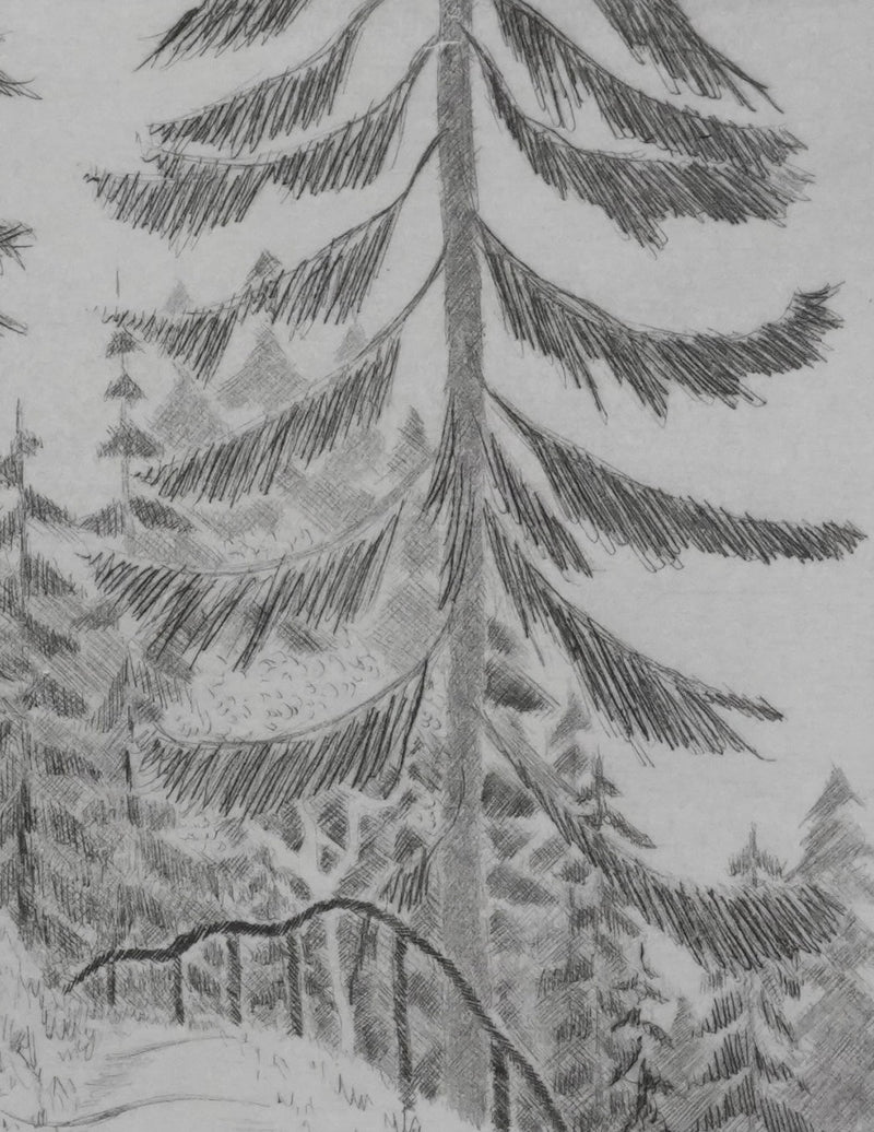 Camille COMBE : Le sentier des gentianes, Gravure originale signée