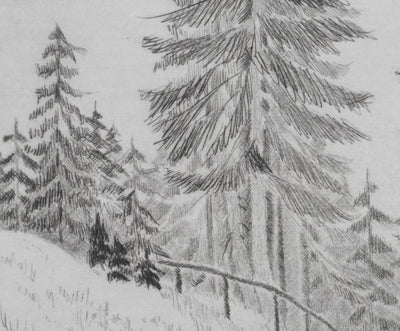 Camille COMBE : Le sentier des gentianes, Gravure originale signée