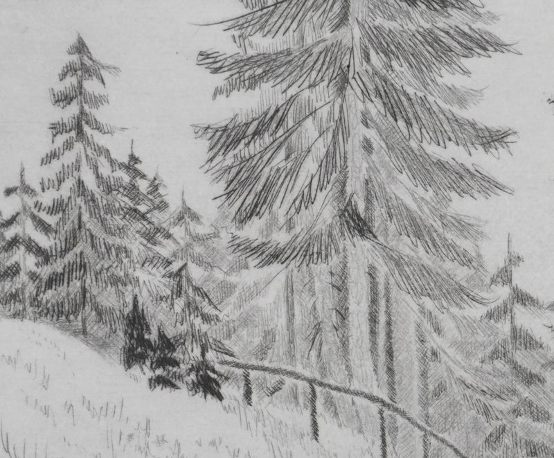 Camille COMBE : Le sentier des gentianes, Gravure originale signée