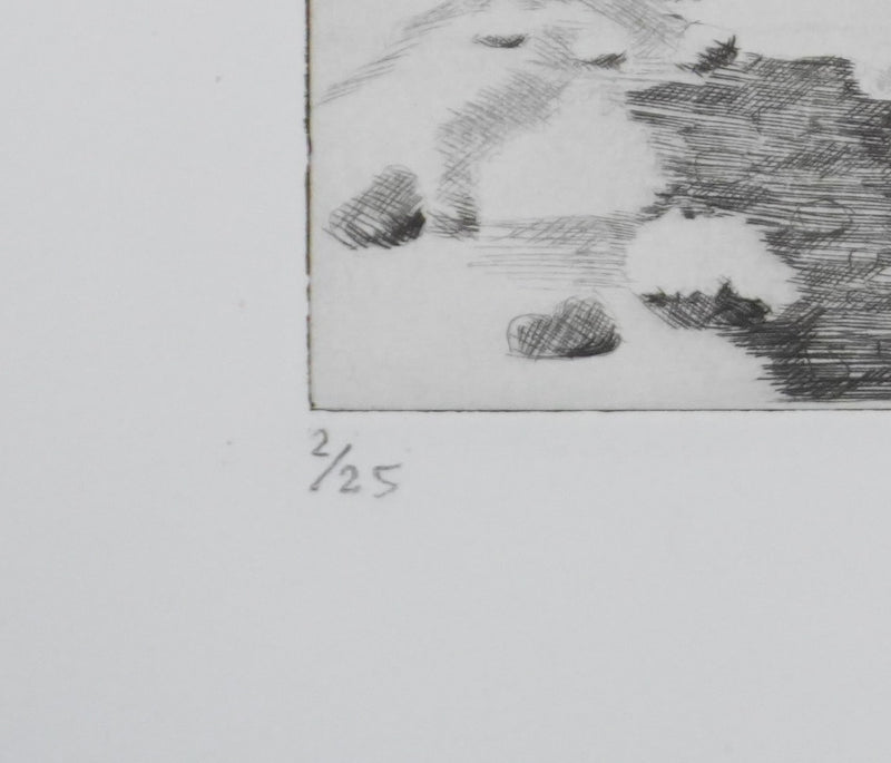 Camille COMBE : Feuilles de glace, Gravure originale signée