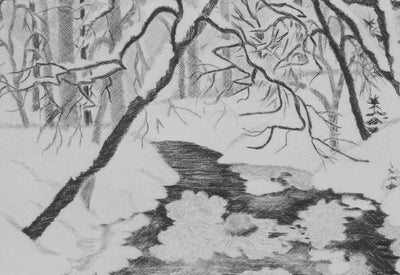 Camille COMBE : Feuilles de glace, Gravure originale signée