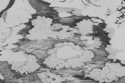 Camille COMBE : Feuilles de glace, Gravure originale signée