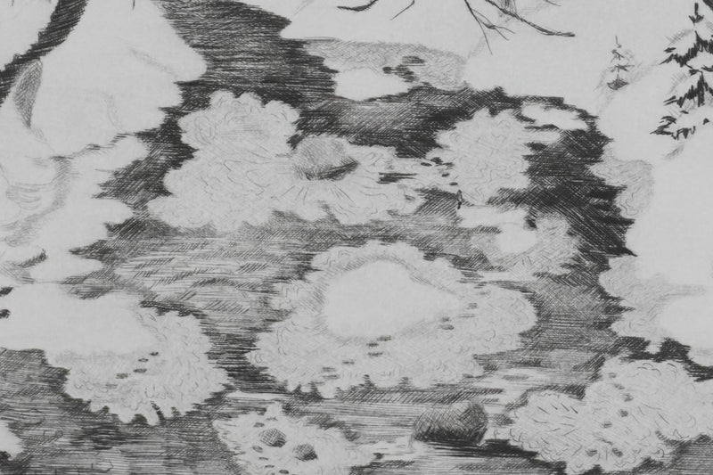 Camille COMBE : Feuilles de glace, Gravure originale signée