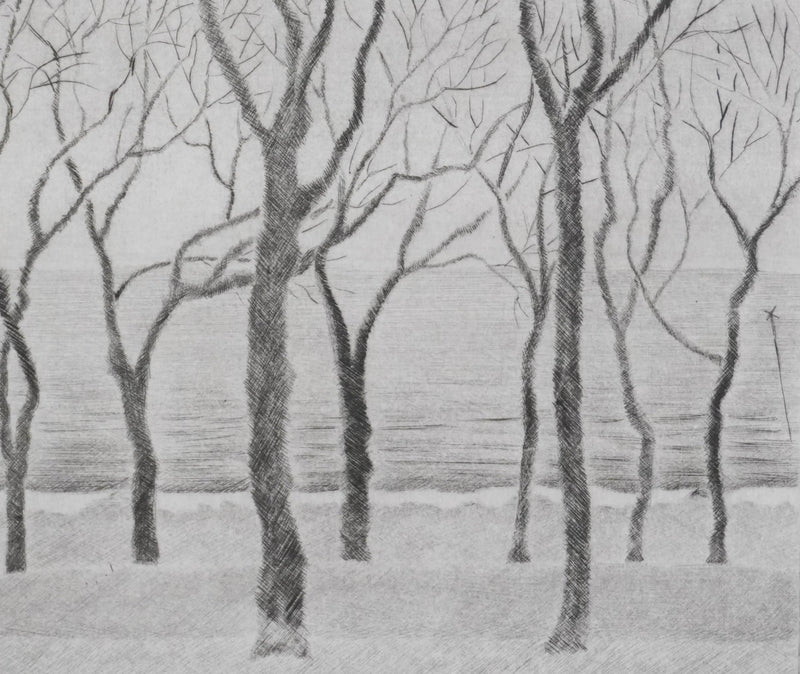Camille COMBE : Promenade au bord de la mer, Gravure originale signée