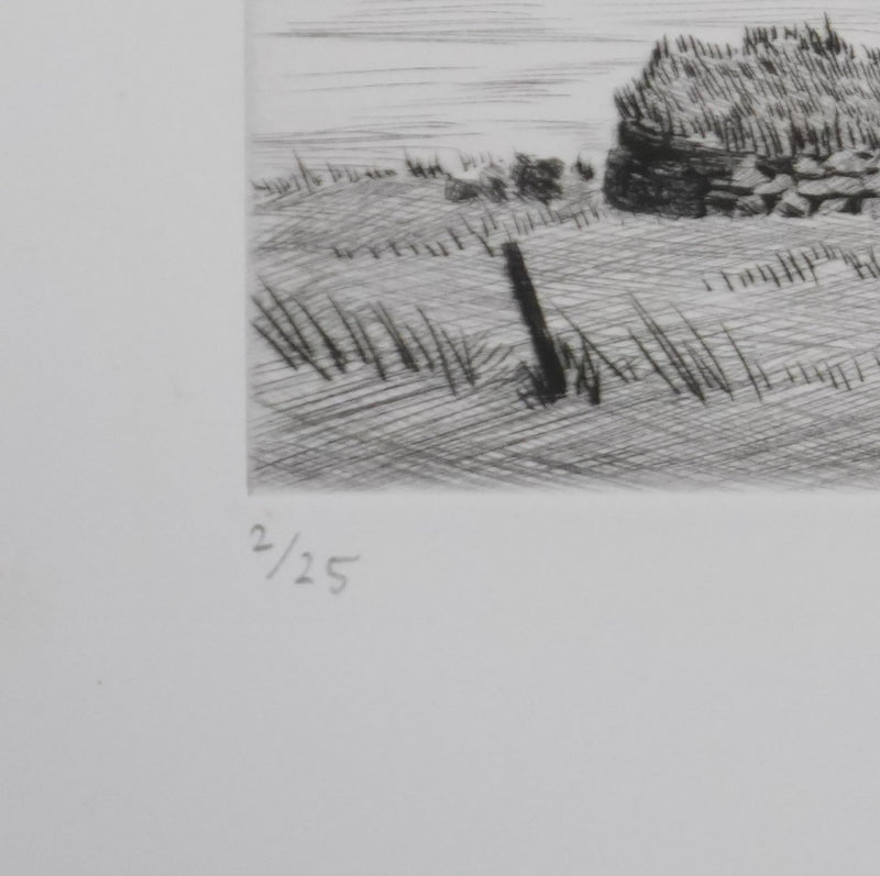 Camille COMBE : Les petites maisons d&