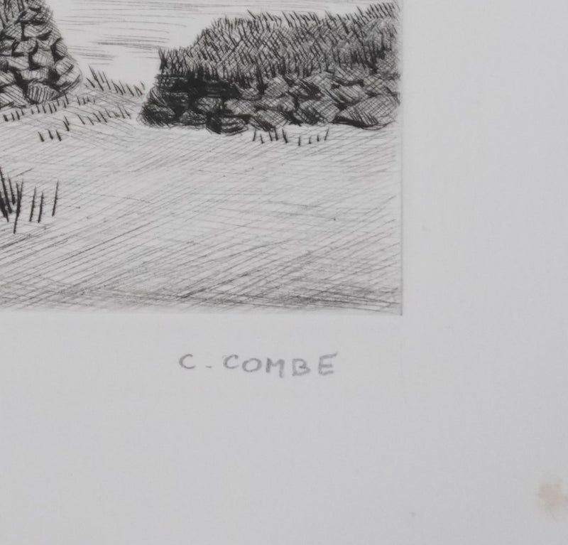 Camille COMBE : Les petites maisons d&